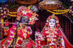 Daily Darshan