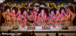 Daily Darshan