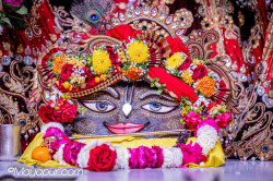 Daily Darshan