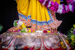 Daily Darshan