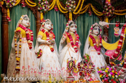 Daily Darshan