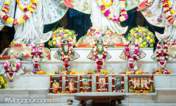 Daily Darshan