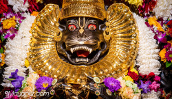 Daily Darshan