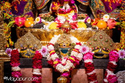 Daily Darshan