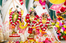Daily Darshan