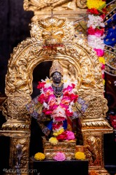 Daily Darshan
