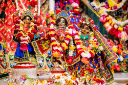 Daily Darshan