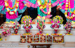 Daily Darshan