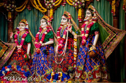 Daily Darshan