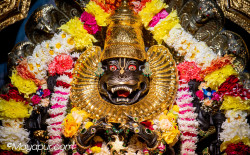 Daily Darshan