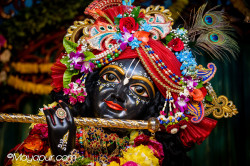 Daily Darshan