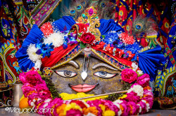 Daily Darshan