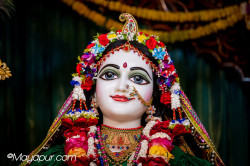 Daily Darshan