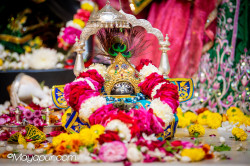 Daily Darshan