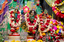 Daily Darshan