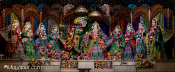 Daily Darshan