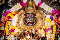 Daily Darshan