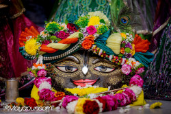 Daily Darshan