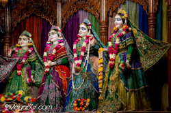 Daily Darshan