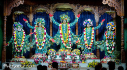 Daily Darshan