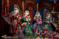 Daily Darshan