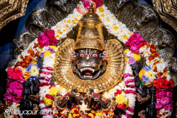 Daily Darshan