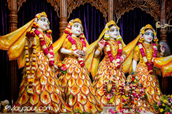 Daily Darshan