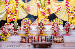 Daily Darshan