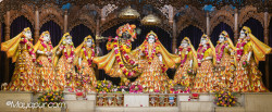 Daily Darshan