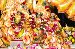 Daily Darshan