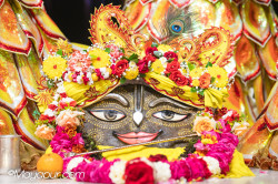 Daily Darshan