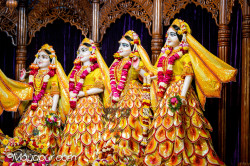 Daily Darshan