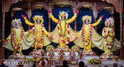 Daily Darshan