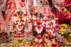 Daily Darshan