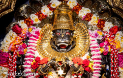 Daily Darshan