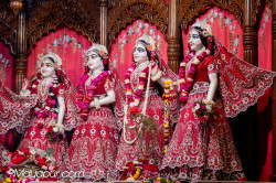 Daily Darshan