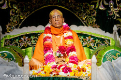 Daily Darshan