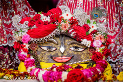 Daily Darshan