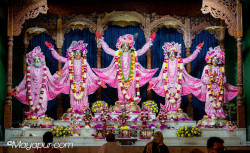 Daily Darshan