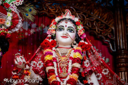 Daily Darshan