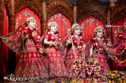 Daily Darshan