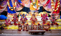 Daily Darshan