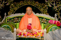 Daily Darshan