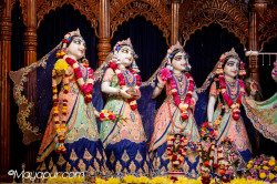 Daily Darshan