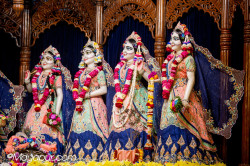Daily Darshan
