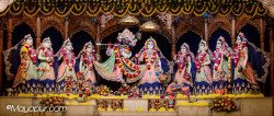 Daily Darshan