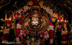 Daily Darshan