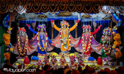 Daily Darshan