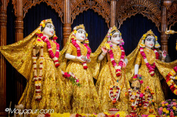 Daily Darshan