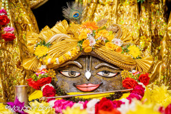 Daily Darshan